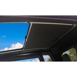 Headliner - Citroën AMI...